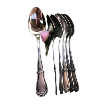 Saurum design for you accessory