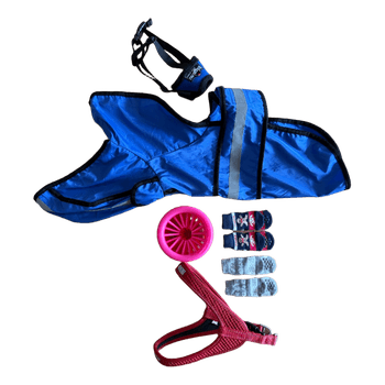 Dog accessories bundle