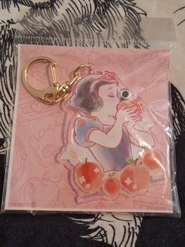 Disneyn avaimenperä