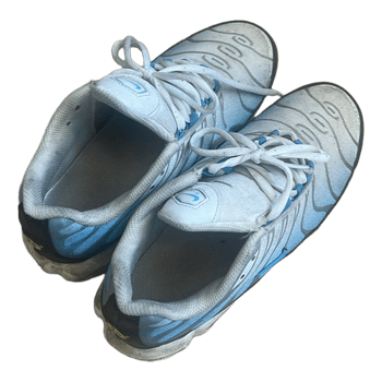 Nike Air Max Plus