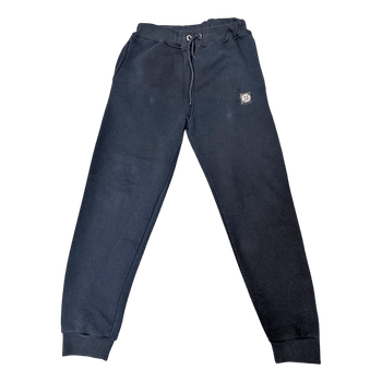 Navy Stone Island joggers