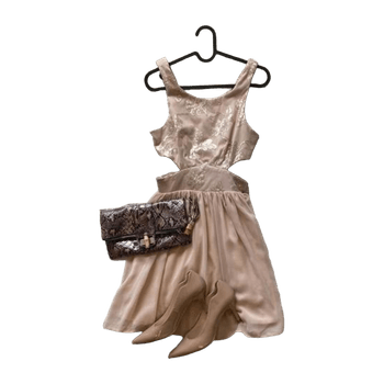 Elise ryan dress