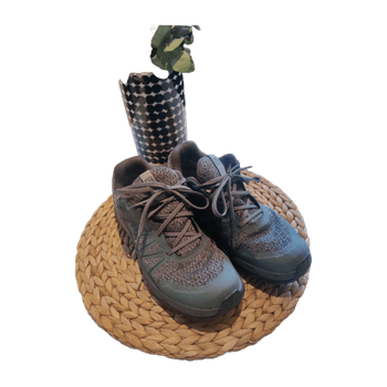 Salomon shoes