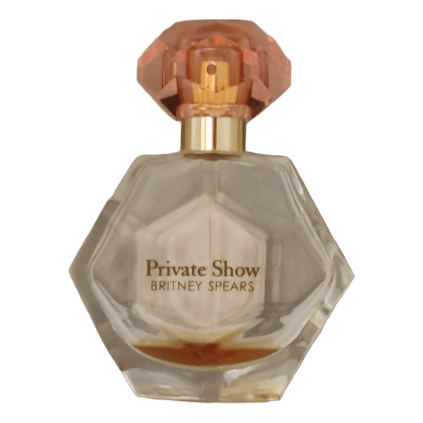 Britney Spears Private Show