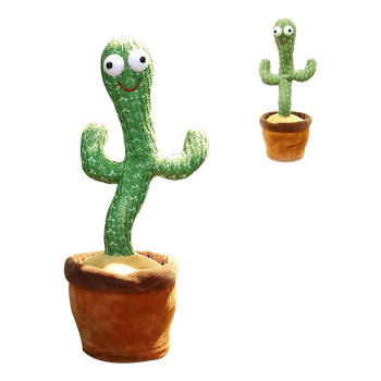 Šokantis ir atkartojantis garsus kaktusas