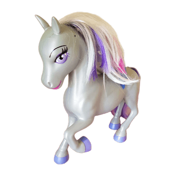 Poni