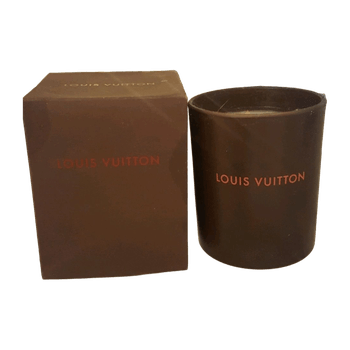 Louis vuitton accessory