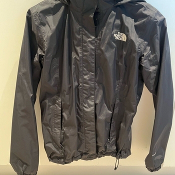 The north face coat