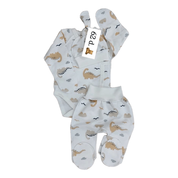 Baby dinosaur set