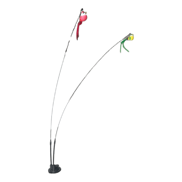 Cat toy bird teaser