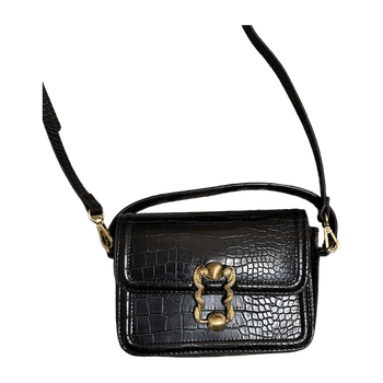 Zara bag