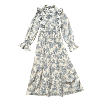 Blue toile print dress