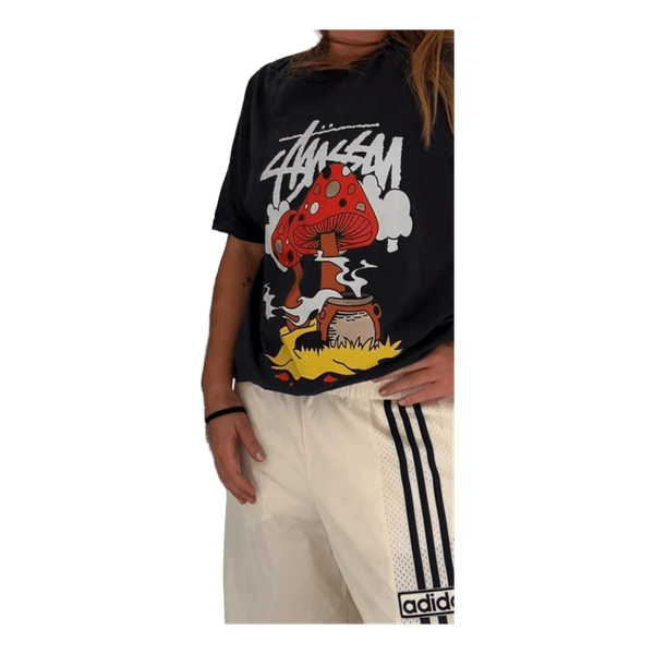 Stussy t-shirt