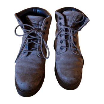 Panama jack shoes