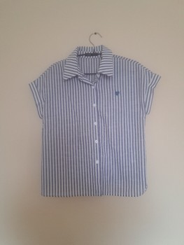 Striped blue shirt