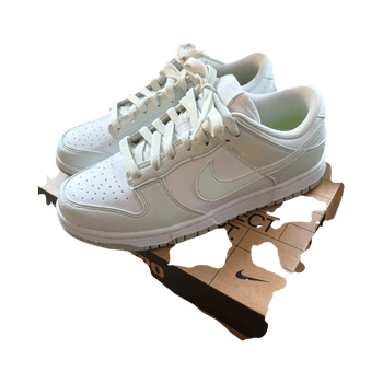 Nike dunk low (38)