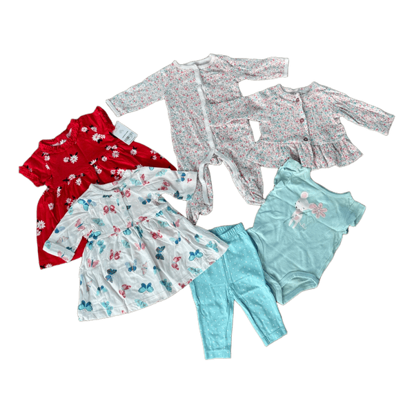 Carter's baby girl clothing set