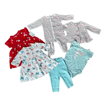Carter's baby girl clothing set
