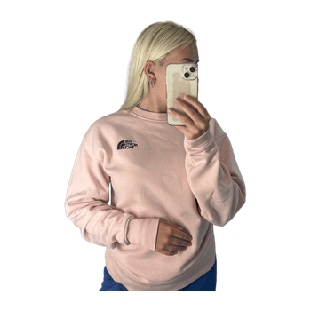 The north face hoodie