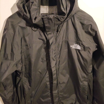 The north face coat