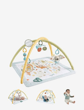 Newborn play gym