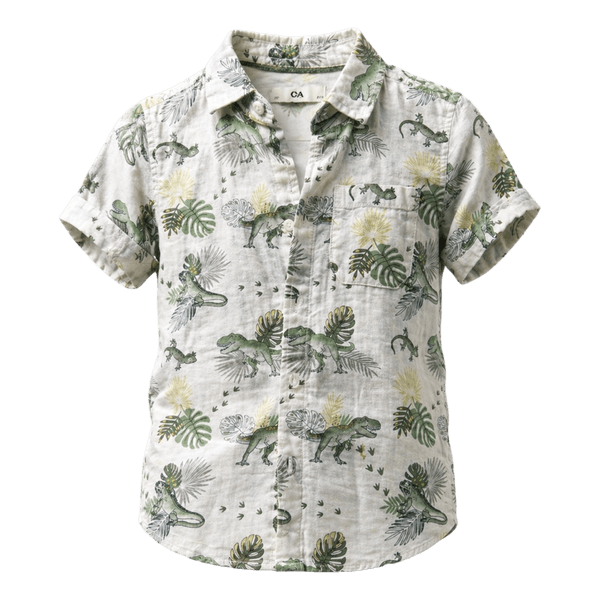Dinosaur print shirt