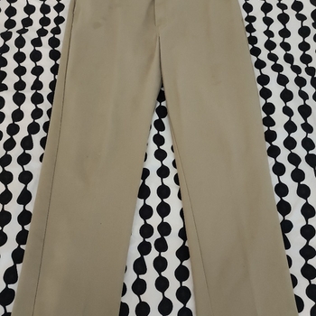 Dickies 874 original fit
