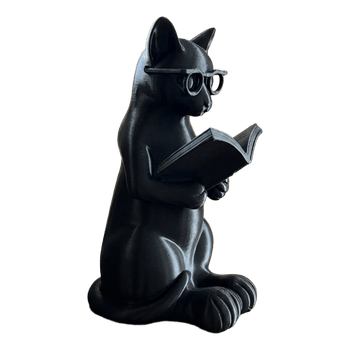 Black cat reading statue
