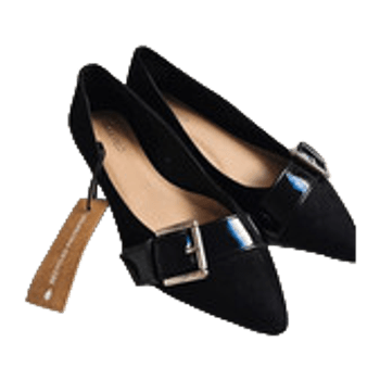Black pointed ballet flats