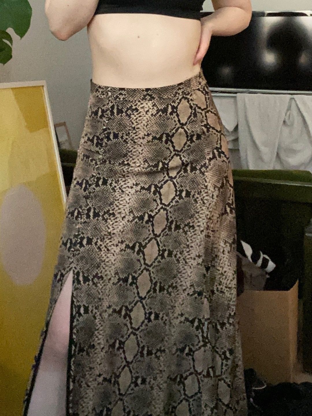 Zara skirt