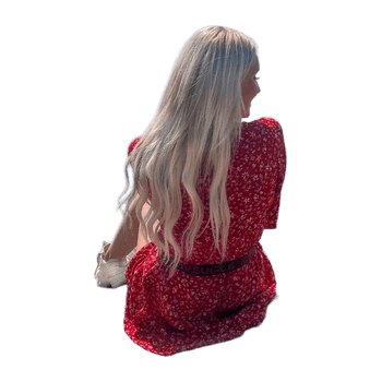 Zara dress