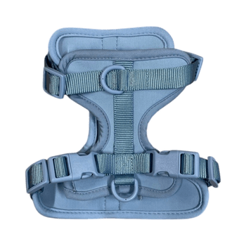 Dog Harness