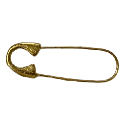 Auksinė sagė gold
