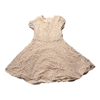 Pink lace skater dress