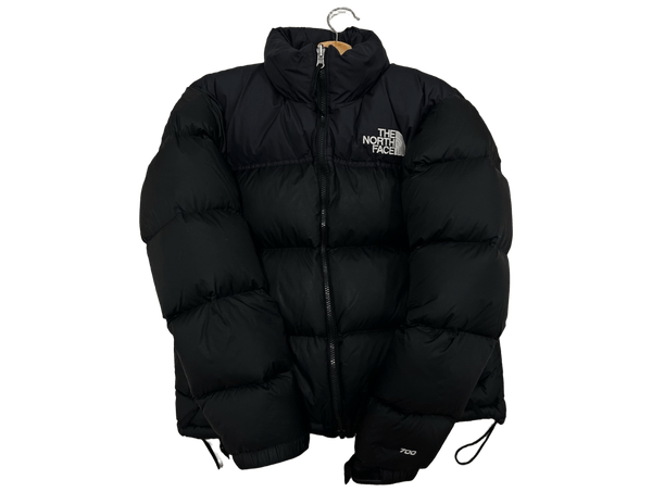 The north face coat