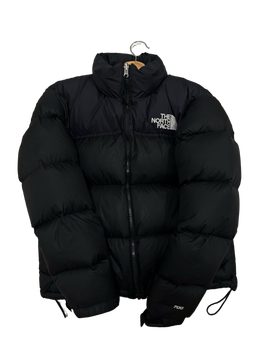 The north face coat