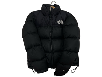 The north face coat
