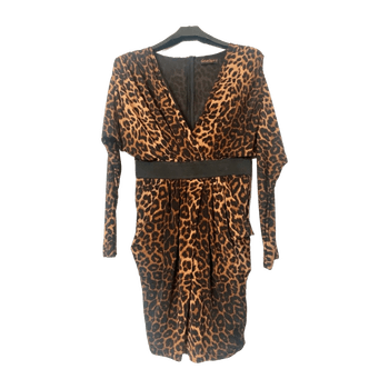 Celebcityny dress