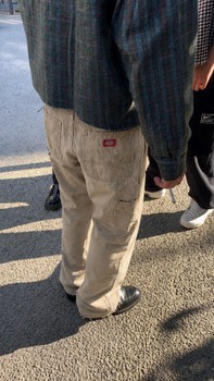 Dickies beige carpenter pants