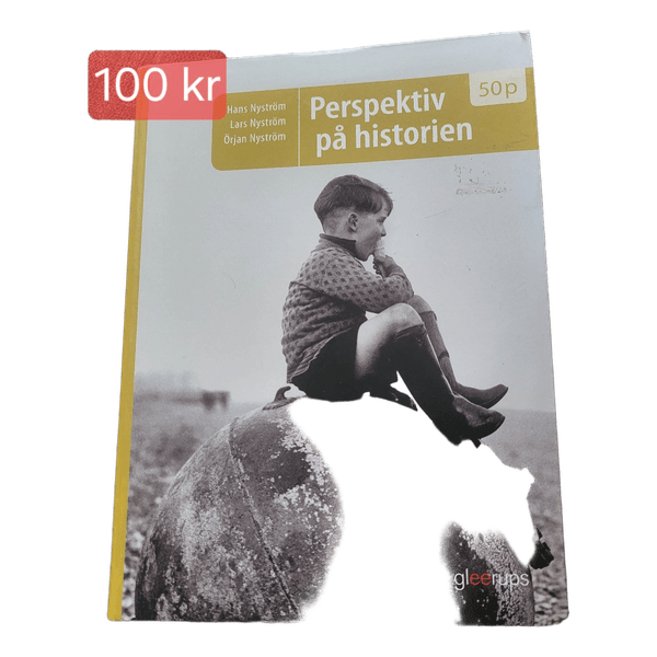 Bok Perspektiv på historien