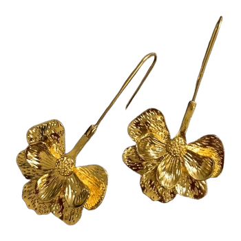 Earring jewelry