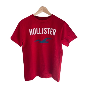 Hollister top