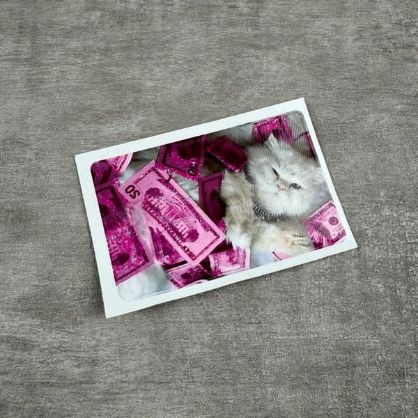 Cat Card Skins Stickers