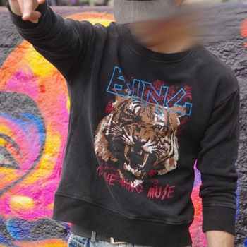 Anine Bing College