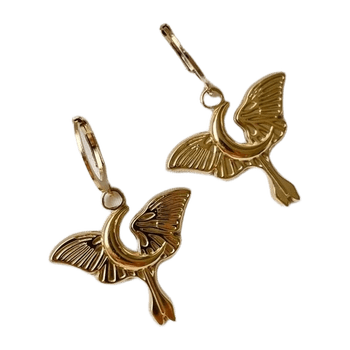 Earring jewelry