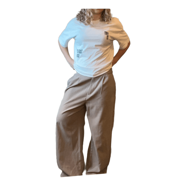 Suit pants