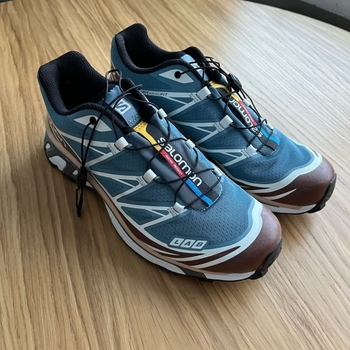 Salomon sports shoes