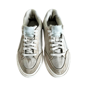 Puma ketsid