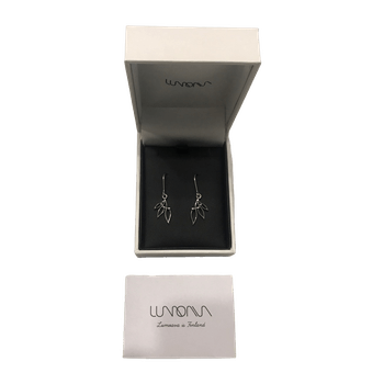 Lumoava korvakorut jewelry