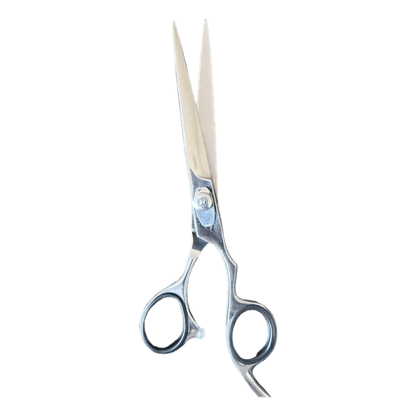 Silver hair cutting scissors